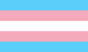 Trans and gender diverse health care